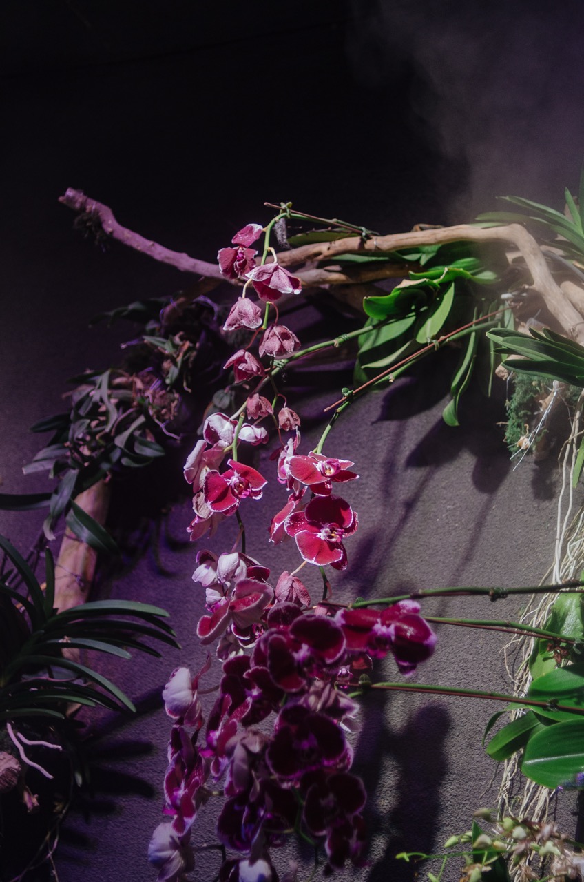 Превью Dubai 2022